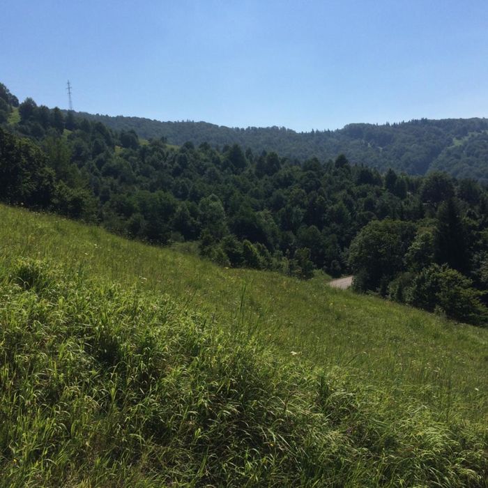 Vand teren, zona baraj Bicaz, Potoci