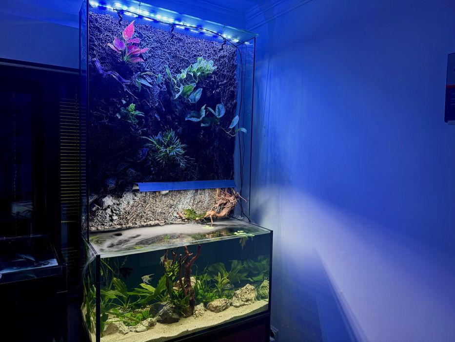 Палюдариум /Palydarium