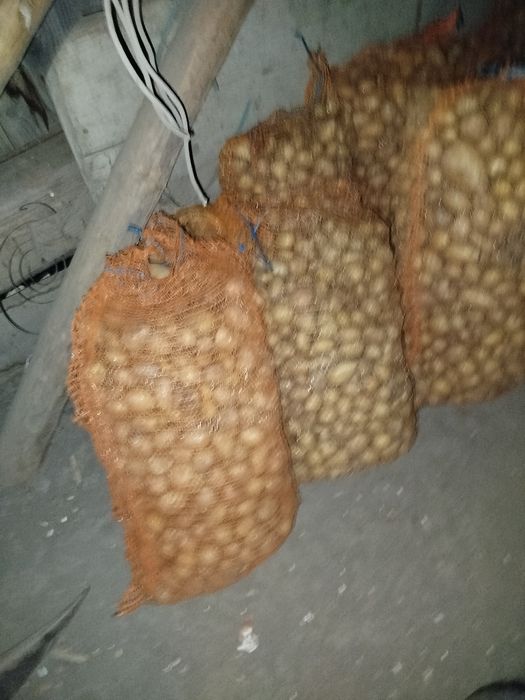 Cartof Pentru un animal