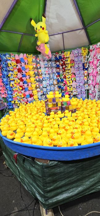 Атракцион -улови пате