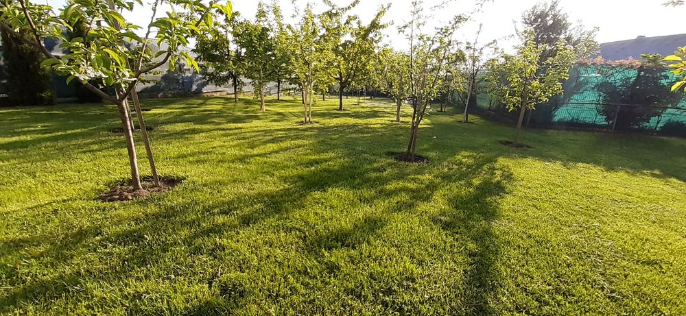 Vând casă falticeni