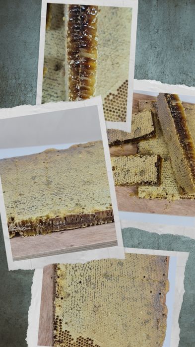 Натуральный горный мёд"Дары Семиречья-Жетысу"