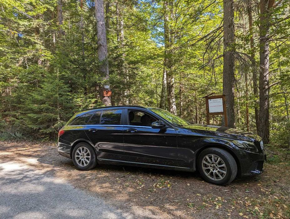 Mercedes-Benz 180D Distronic+, камера