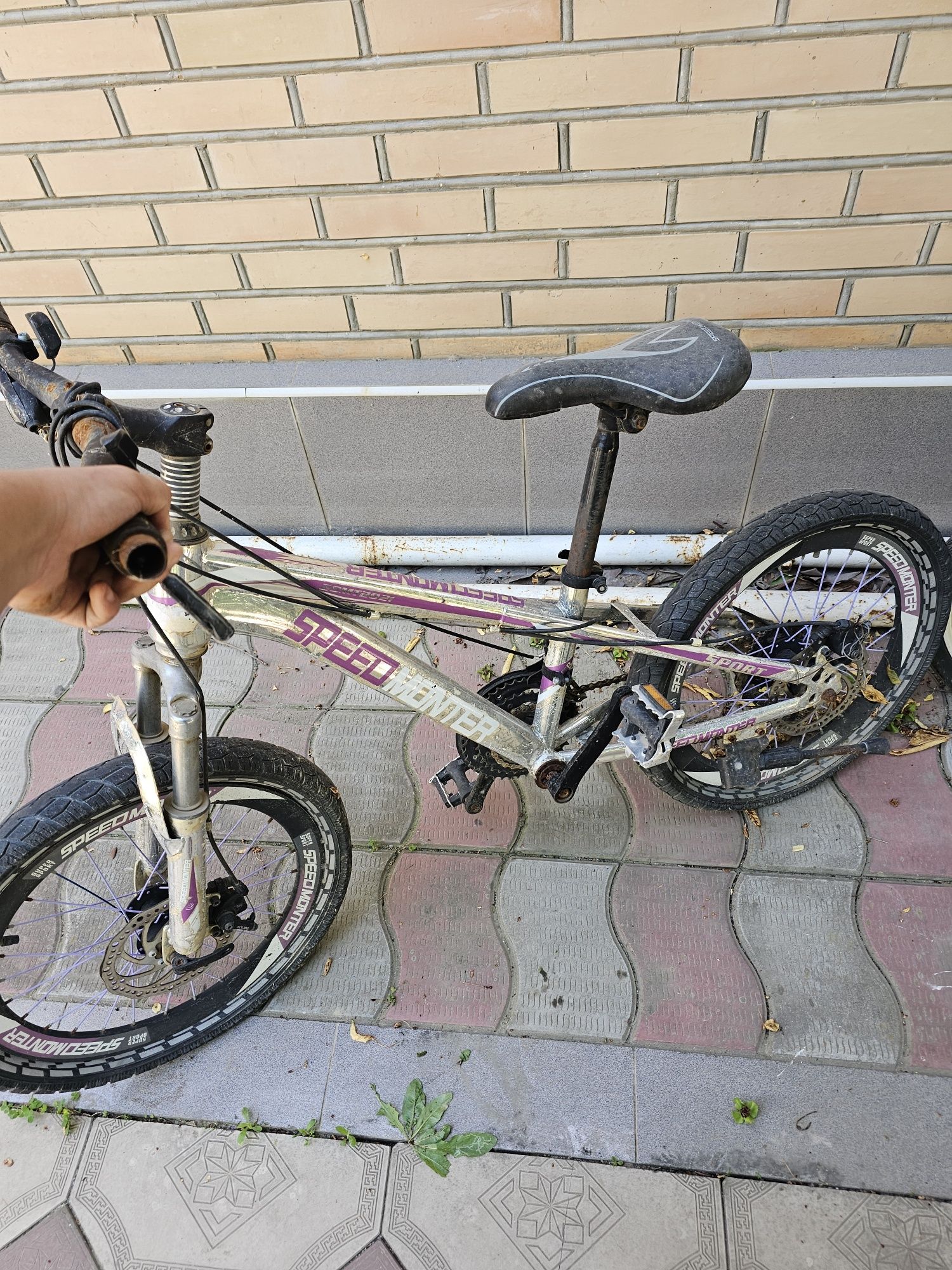Velosafet eng arzon narx da