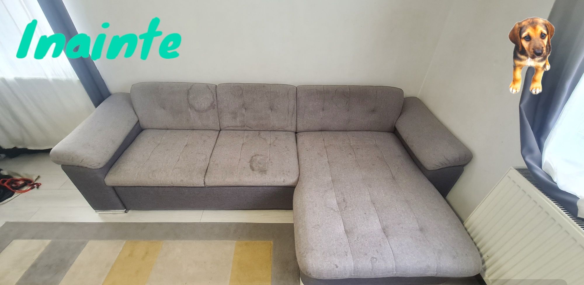 Curatare Profesionala Canapele & Saltele