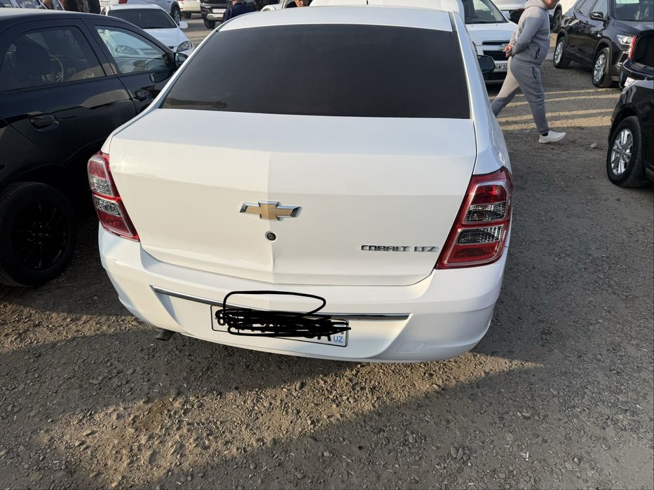 Кобалт 2023 ок.