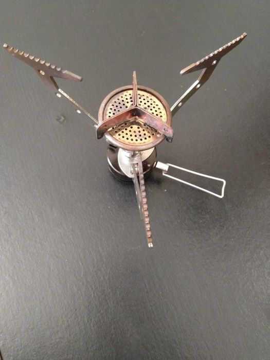 Arzator providus+