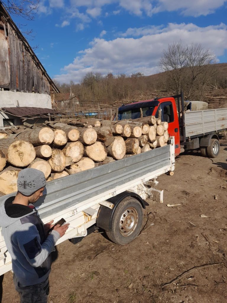 Lemn de foc esență tare