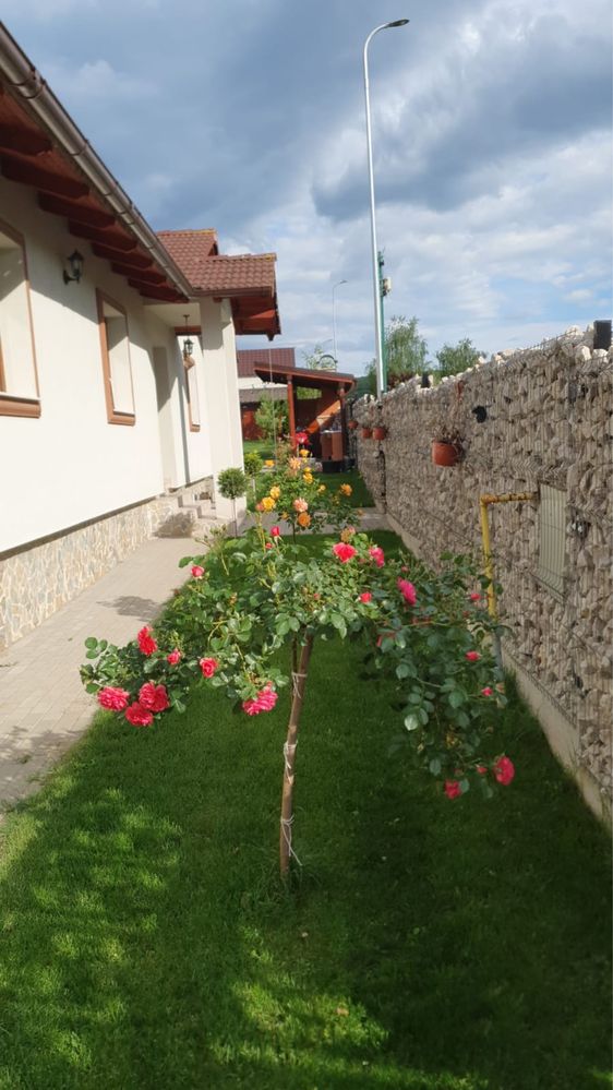 OFERTĂ Casa de vanzare Teleac