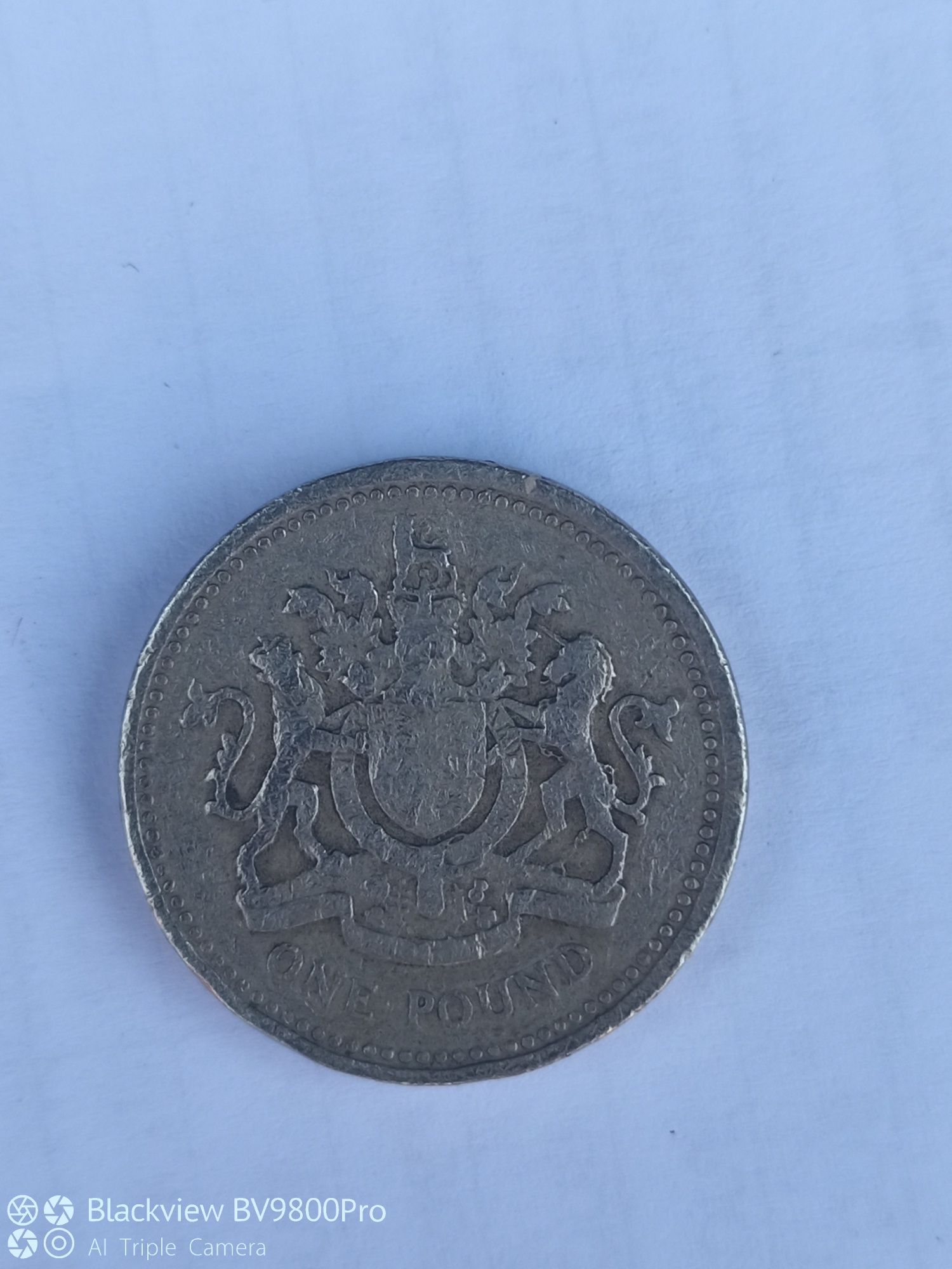 One pound 1983 -moneda