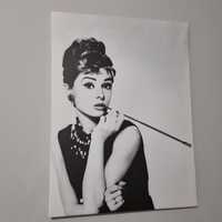 Картина портрет Audrey Hepburn