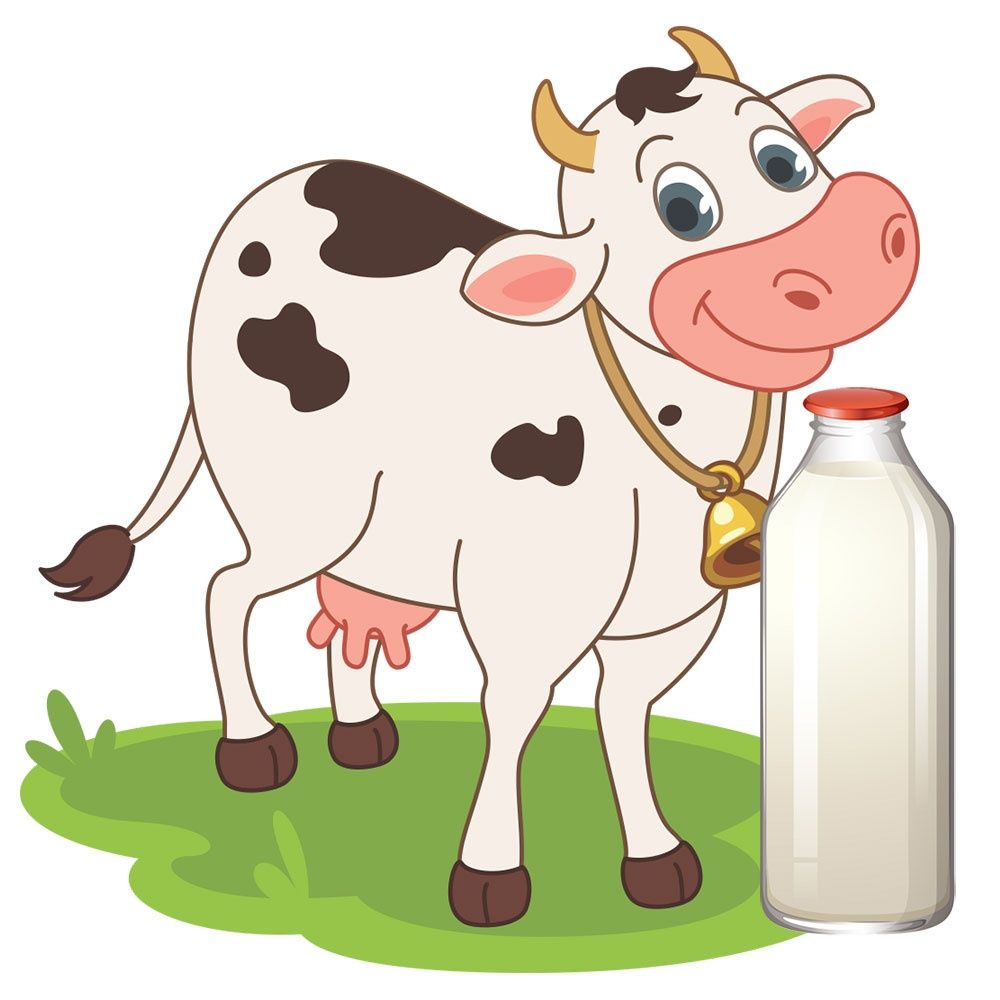 Lapte de vacă și caș