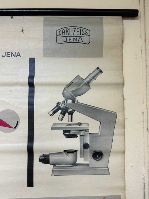 Соц Учебни Плакати Постери Ботаника