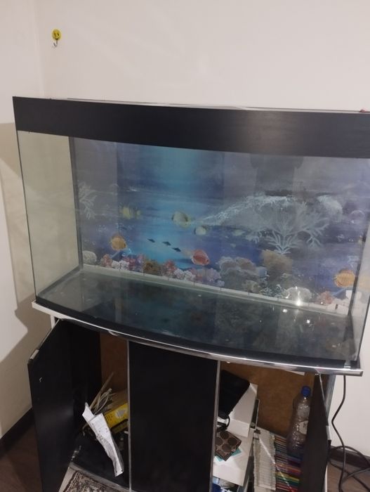 Akvarium patstavkasi bilan