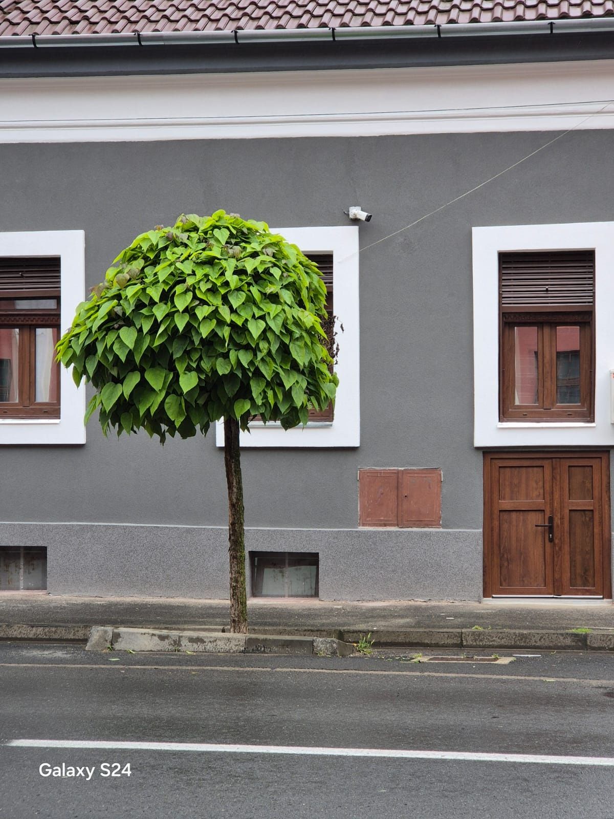 Spatiu de inchiriat