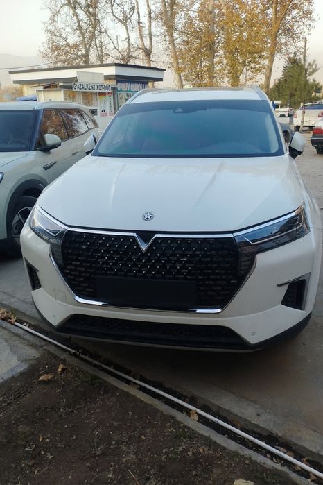 Nissan Venucia Star - отличный кроссовер по супер цене