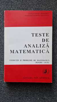 TESTE DE ANALIZA MATEMATICA pentru liceu - Nicolescu