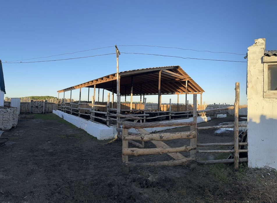 Ведение животноводства