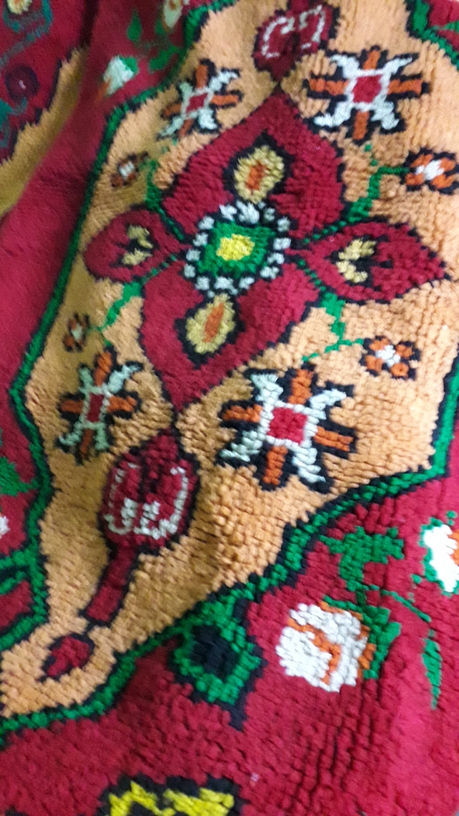 Китеници    нови