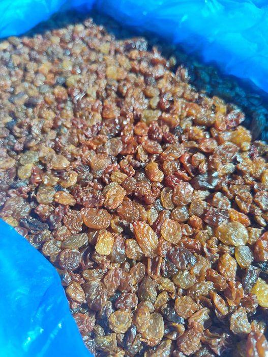 Стафида Тъмна/Златна - 5 кг кашони