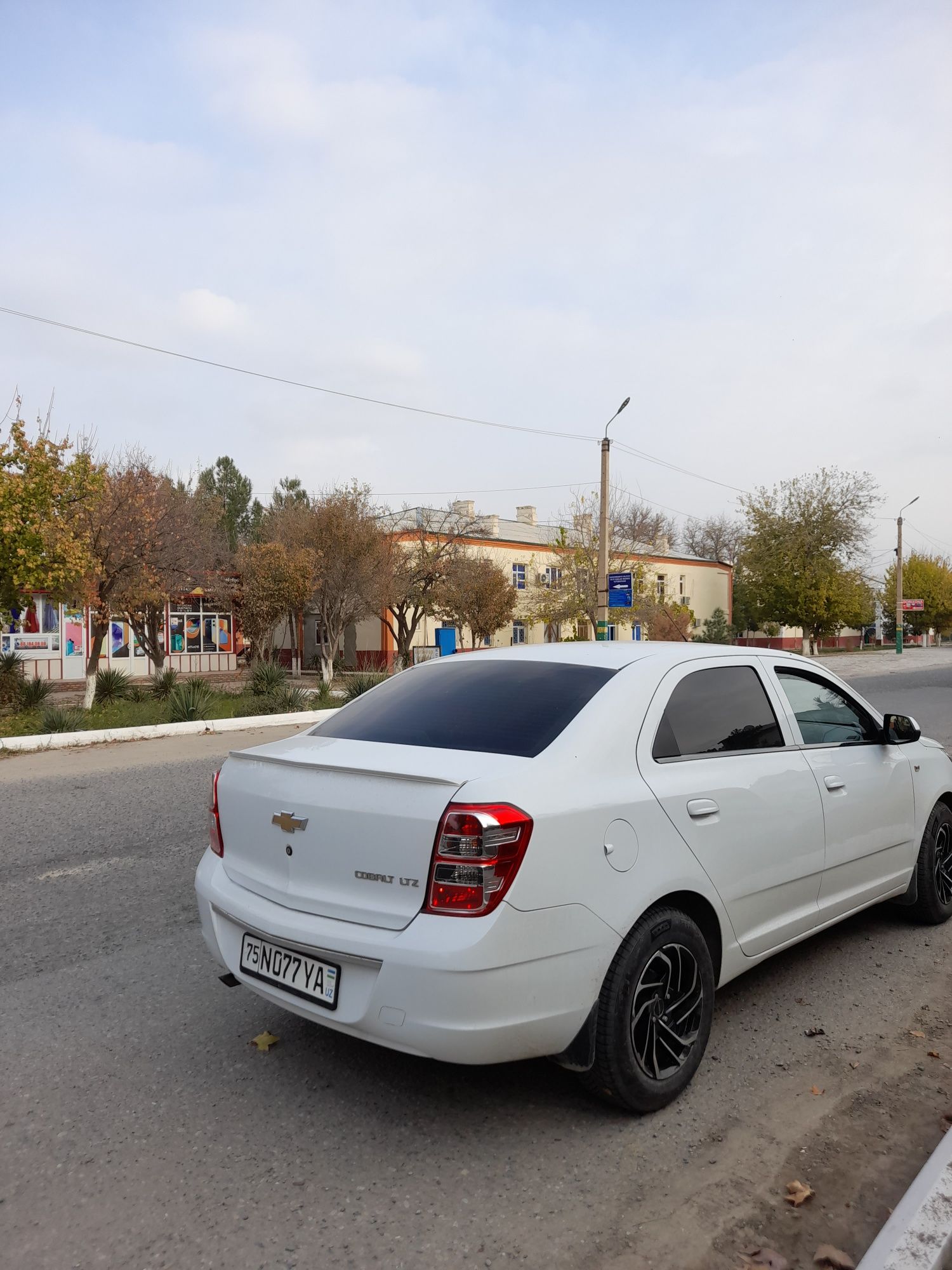 Cobalt LTZ xolati ideal