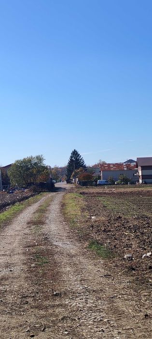 Teren intravilan Cosoba 4650 mp la 20 min de militari Bucuresti