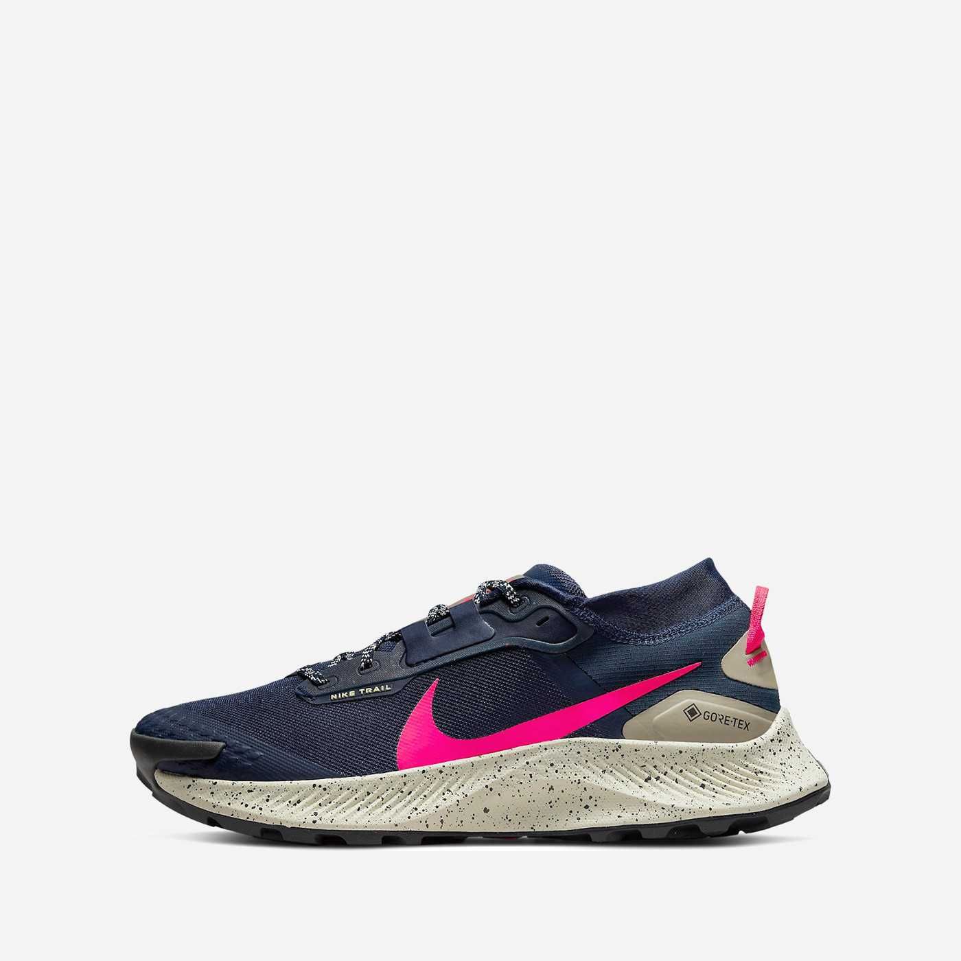 Nike Pegasus Trail 3 Gore-Tex