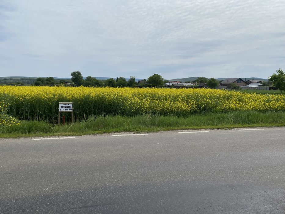 Teren de vanzare - Roman