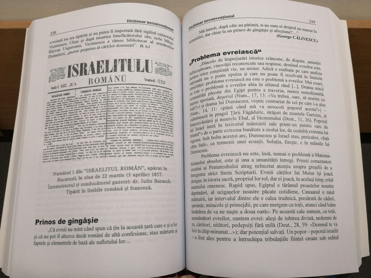 Dicționar neconvențional al scriitorilor și publicistilor evrei - Teșu