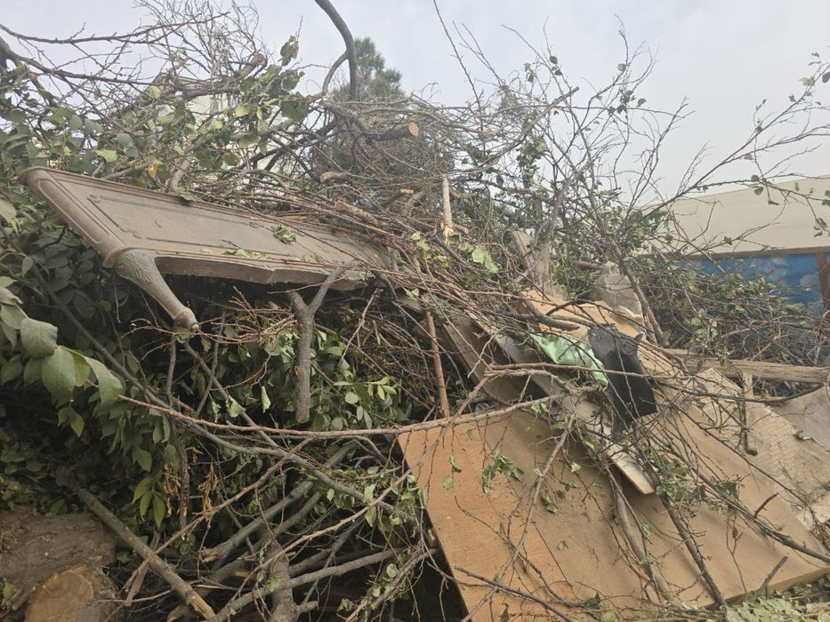 дрова и хонтахта бесплатно õtinlar tekin