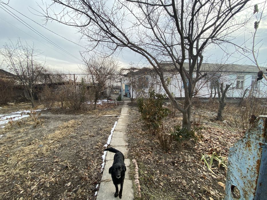 Продаётся дом! Отличное состояние, выгодное предложение!