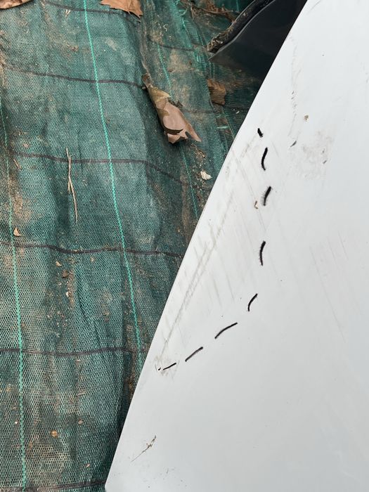 Renault Clio 4 2016 задна дясна врата 12-19