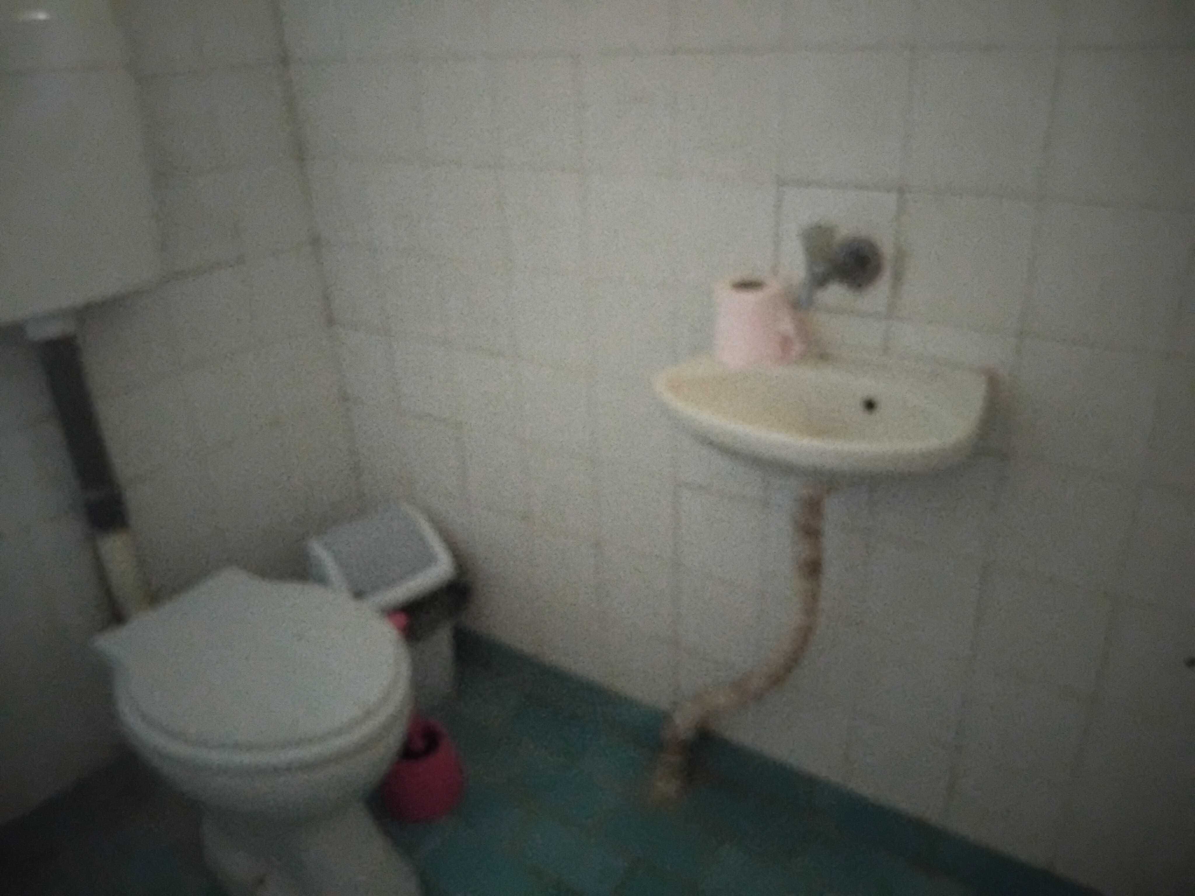 Продавам къща в с. Каран Върбовка