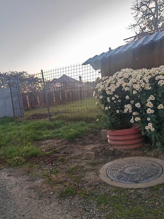 Teren de vânzare-997 mp, Bacau, Izvoare, Str. Ciresoaiei