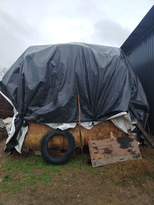 Vând baloti dreptunghiulari