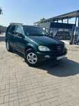 Mercedes ML 270 CDI - 2003
