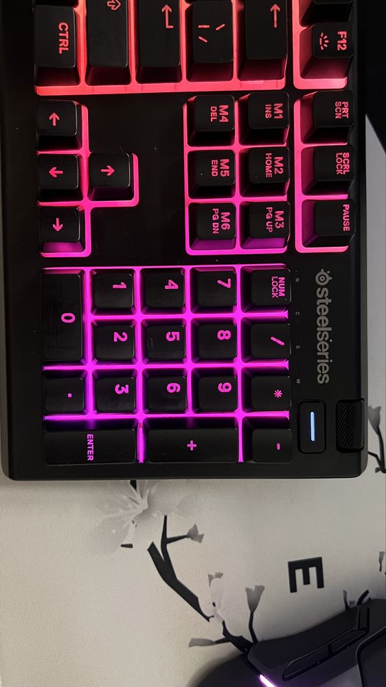 SteelSeries Apex 3