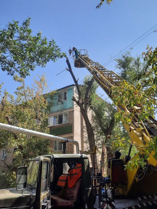 Спил деревьев любой сложности пилем деревья