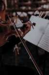 Ofer meditatii la vioara - online sau fizic - mediu prietenos