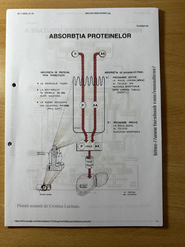 Vand Manual Barron’s editia 2022+Grile medicina Brasov+diferite scheme