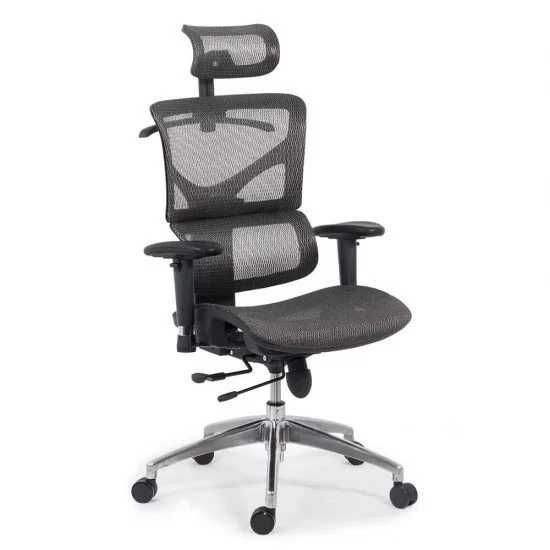 Scaun Birou Top Ergonomic DS9500 Multiple Reglaje LIVRARE GRATUITA!