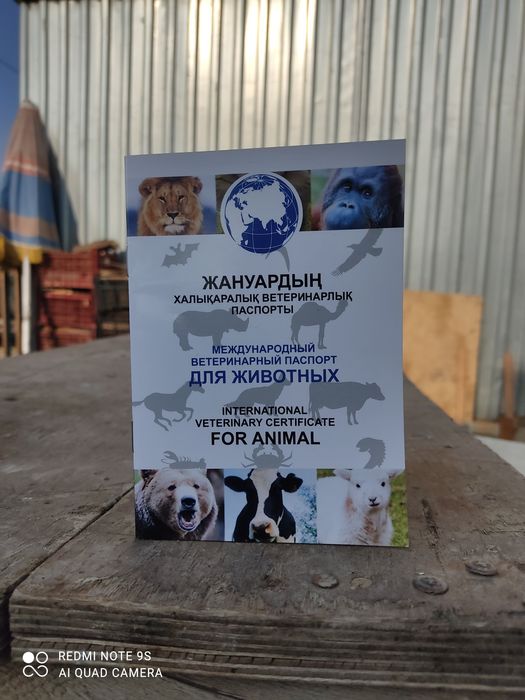 Ветеринарный паспорт