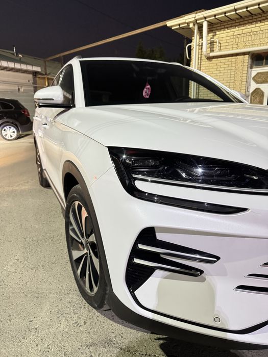 Bvd song plyus chempion