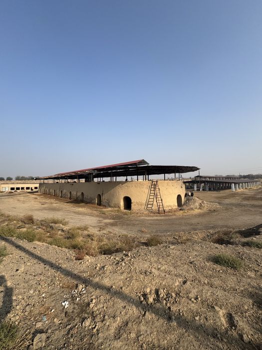 Кирпичный завод - 10-га, Пскент