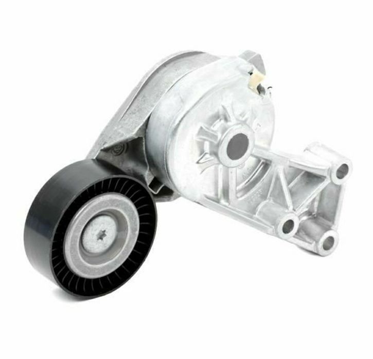 Set curea transmisie cu caneluri