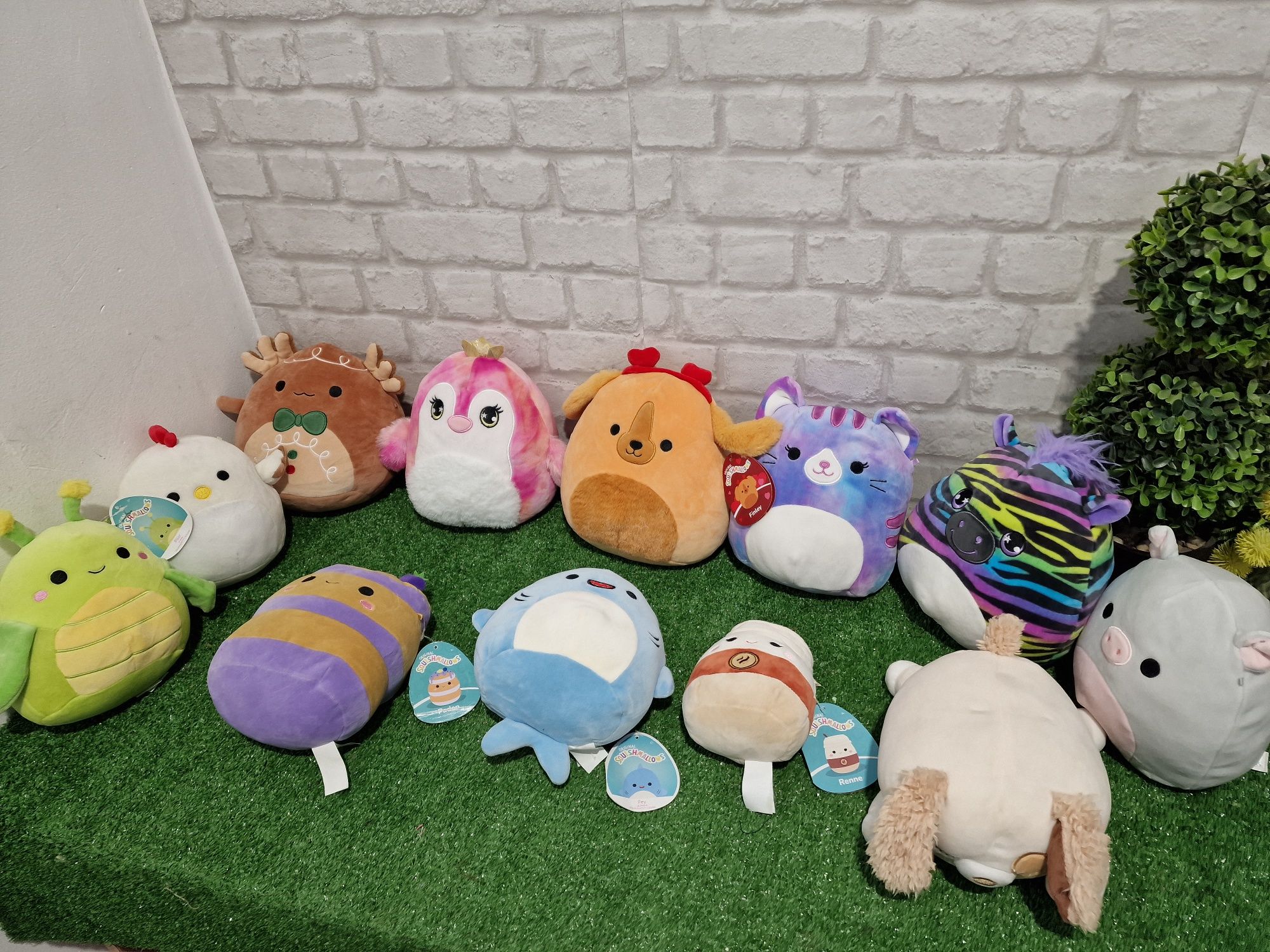 Скуишита Squishmallow различни видове
