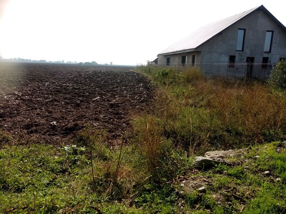 Teren de vanzare Letea Veche Bacau