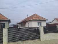 2 case pe o curte de vanzare