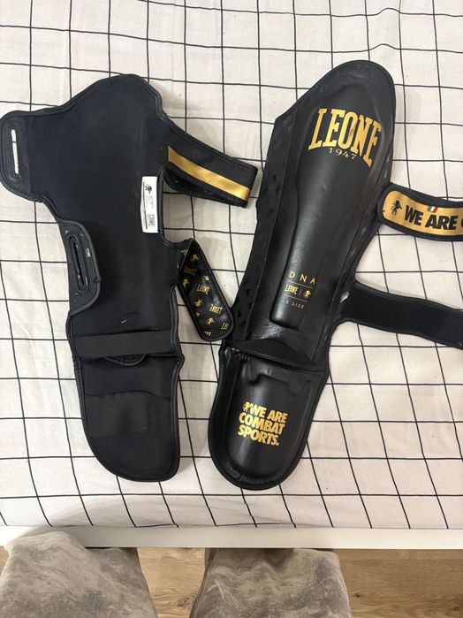 Tibiere lupte leone dna