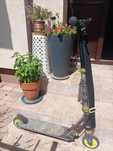 Trotineta OXELO si Skateboard OXELO
